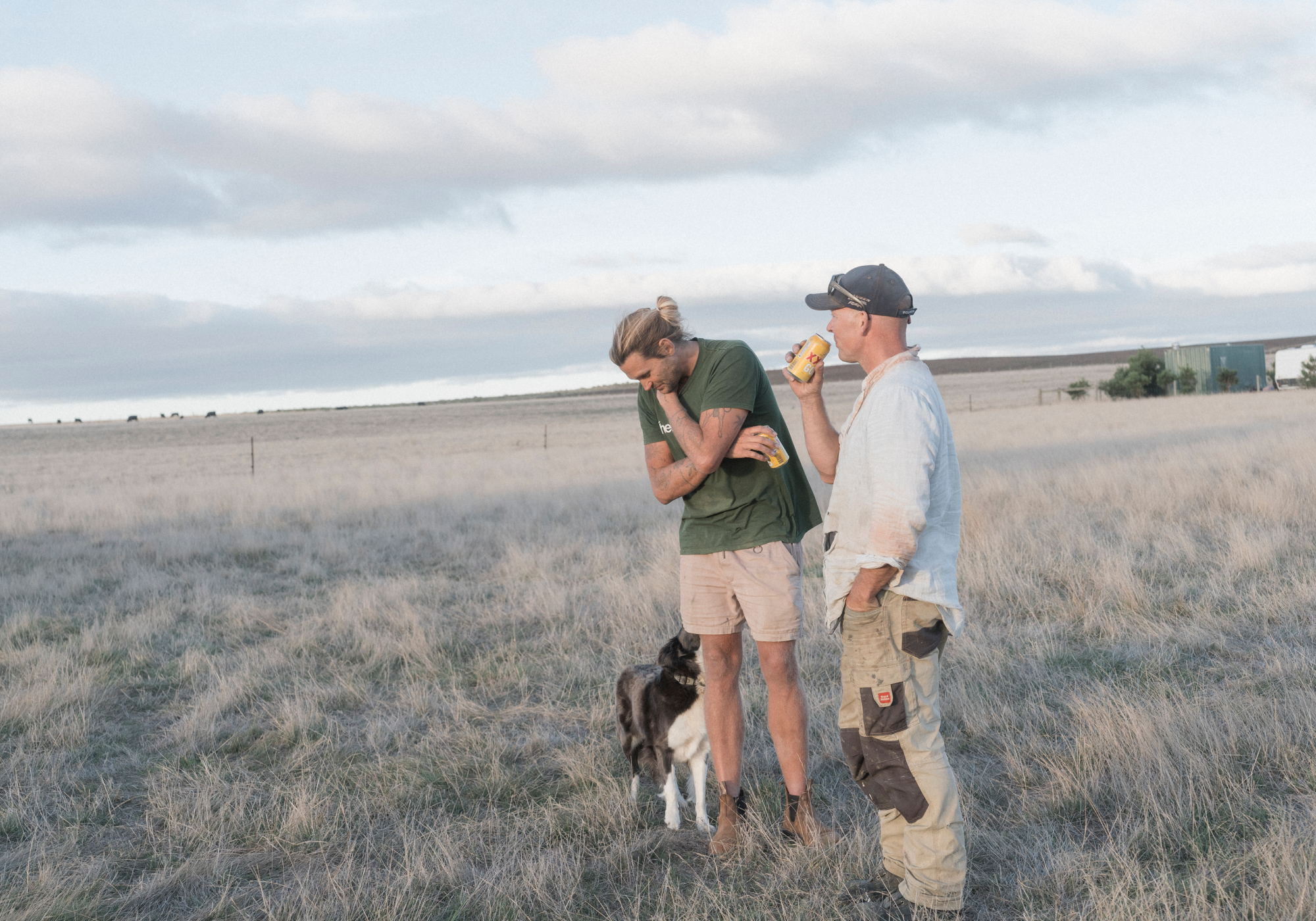 Berries Beach II - Peggy 2B