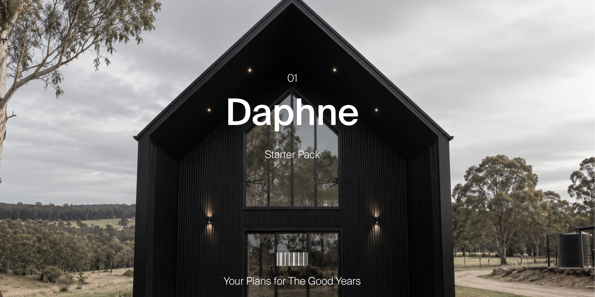 Daphne_1_NightSky_57b074de-936d-4047-8b33-924fef2bdfa3.png